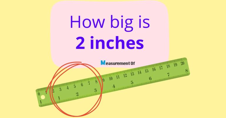 How Big is an Inch- 12 Things That Are an Inch Long