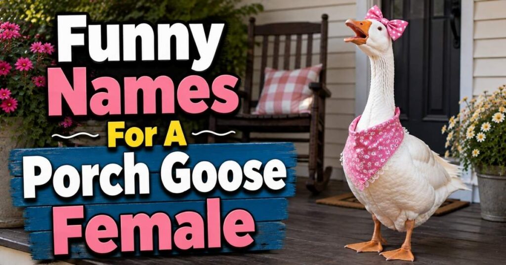 Funny Names For A Porch Goose Female