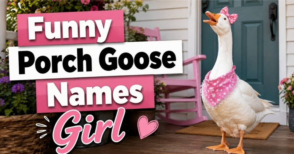 
Funny Porch Goose Girl