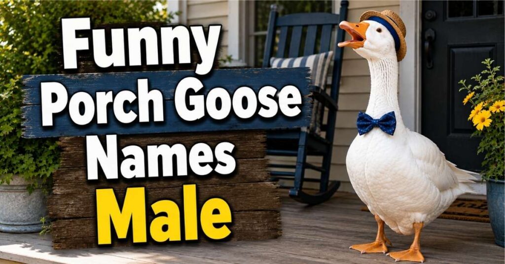Funny Porch Goose Names Male