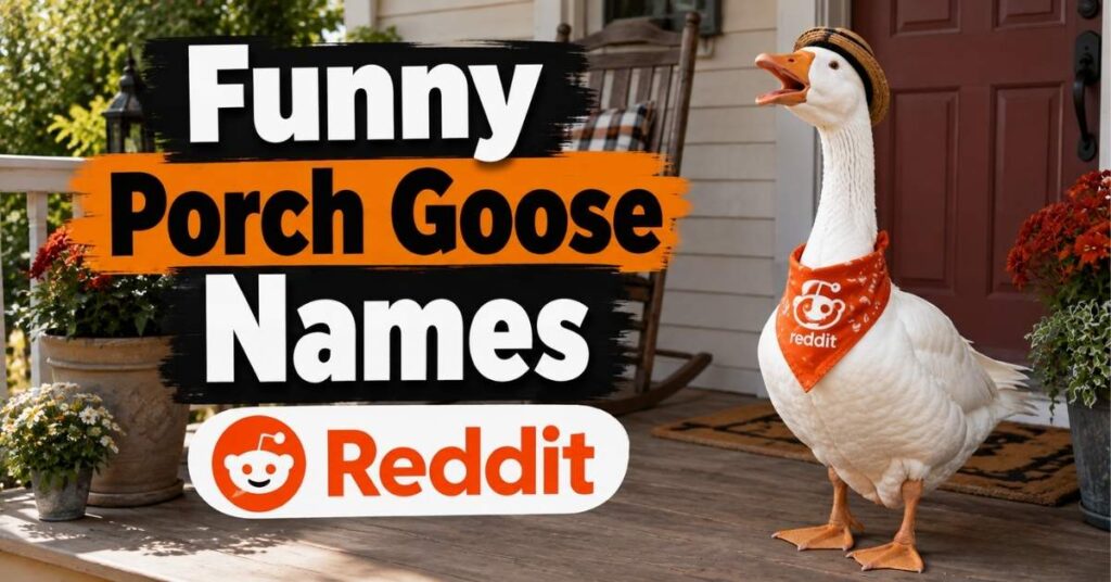 Funny Porch Goose Names Reddit