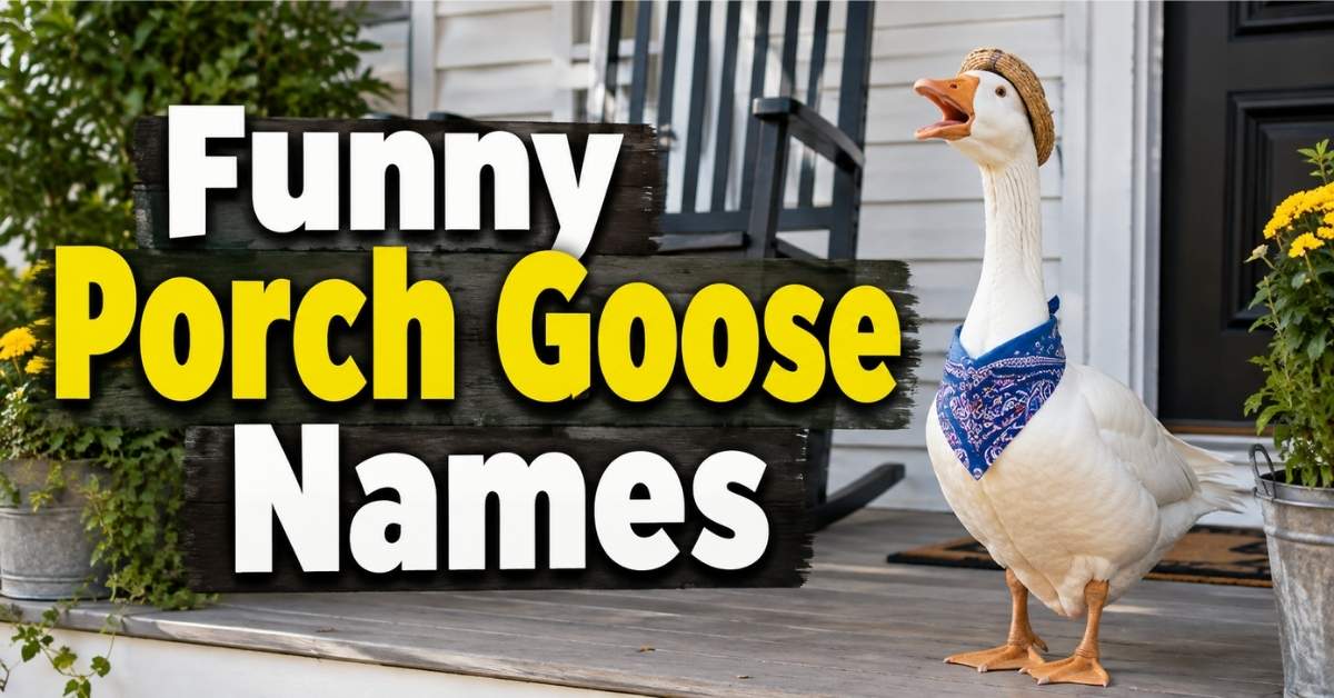 Funny Porch Goose Names