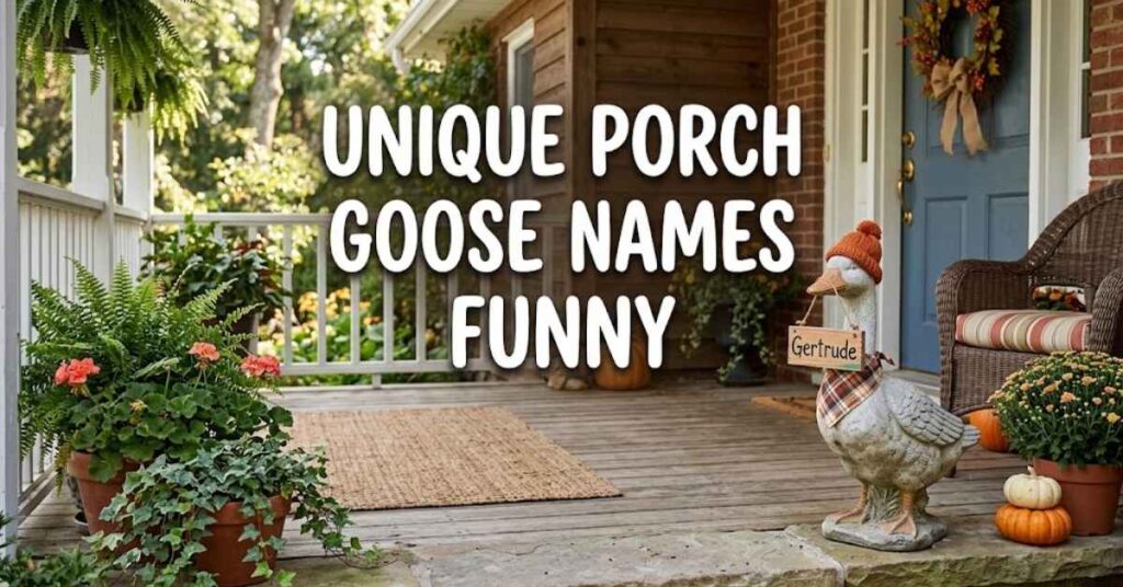 Unique Porch Goose Names Funny