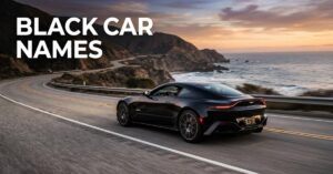 black car names