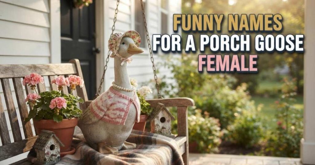 Funny Names For A Porch Goose Female