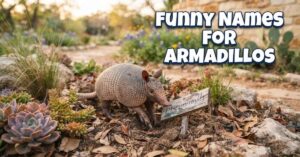 Funny Names for Armadillos