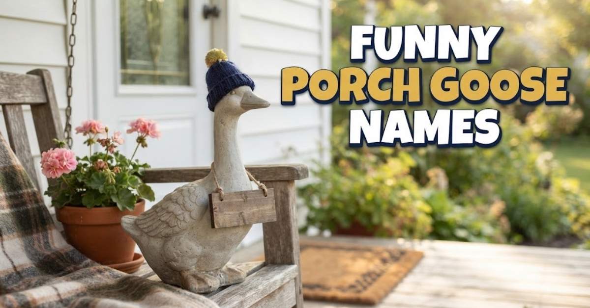 Funny Porch Goose Names