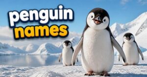 Penguin Names