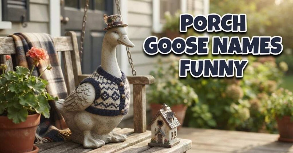 Porch Goose Names Funny
