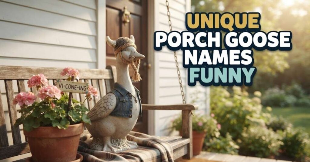 Unique Porch Goose Names Funny